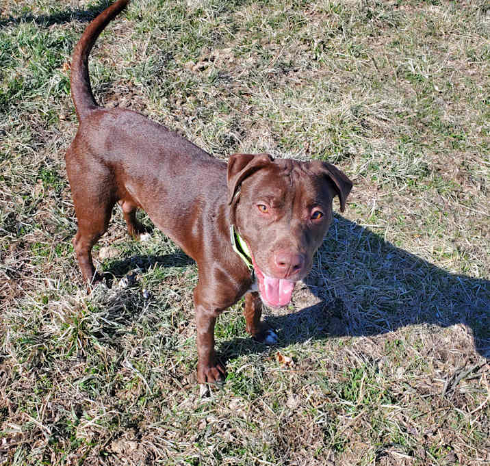 Photo of Sugar