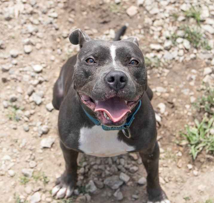 Photo of Laila