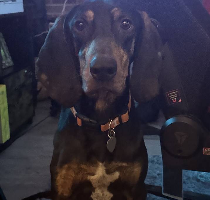 Photo of Vader