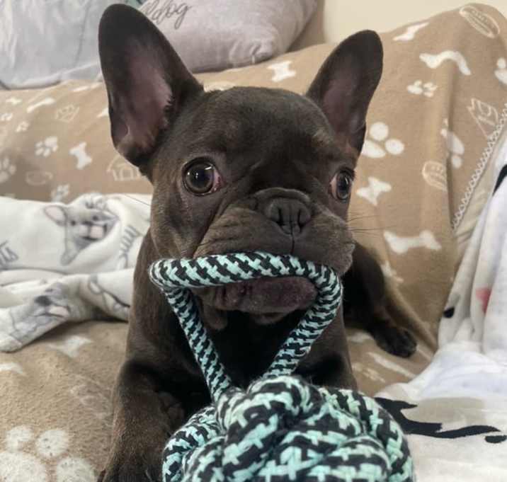 Photo of Posie