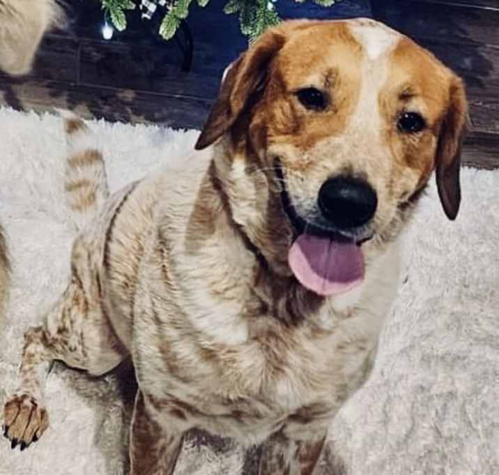 Photo of Penny