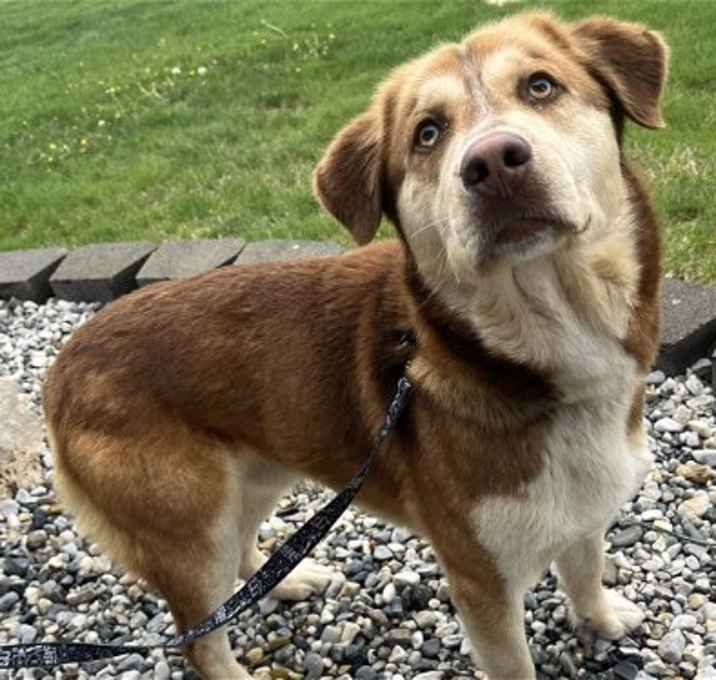 Photo of Barrett aka Bear