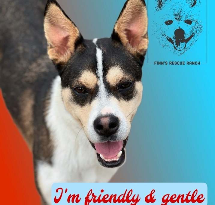 Photo of Nigel