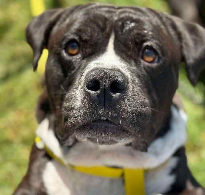 Photo of Hobbs
