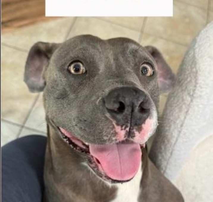 Photo of Mama