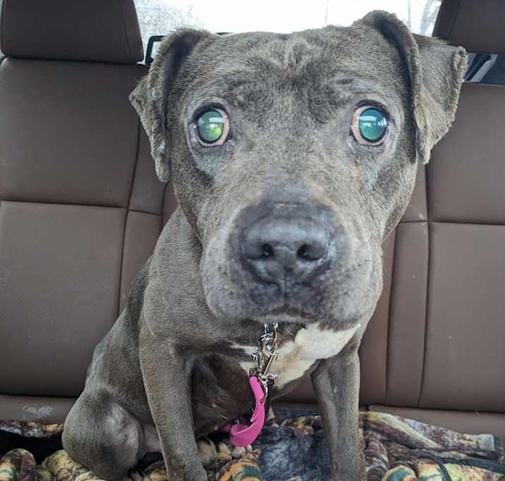 Photo of Blue