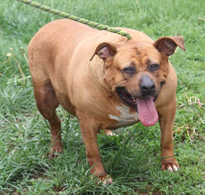 Photo of Chloe (Photos 5/4/2024)