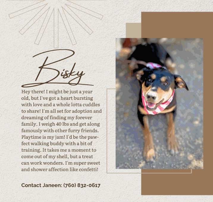 Photo of Biskie