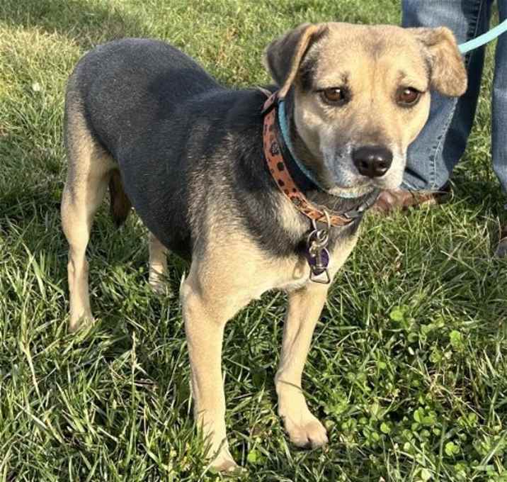 Photo of Patsy Puggle