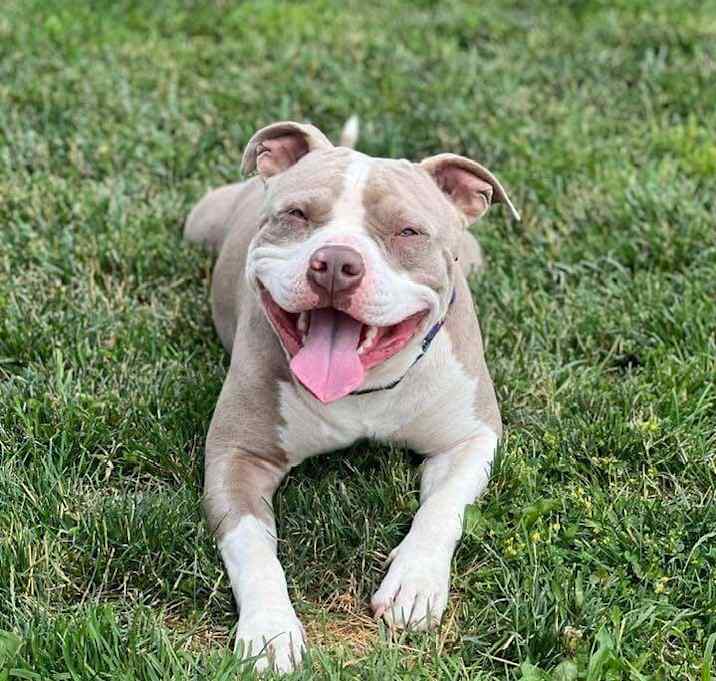Photo of Tito