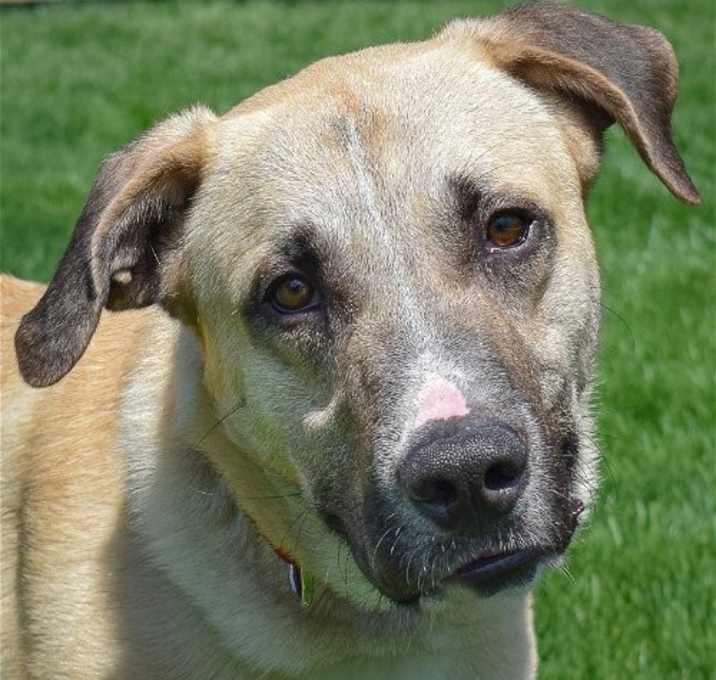 Photo of Wyatt