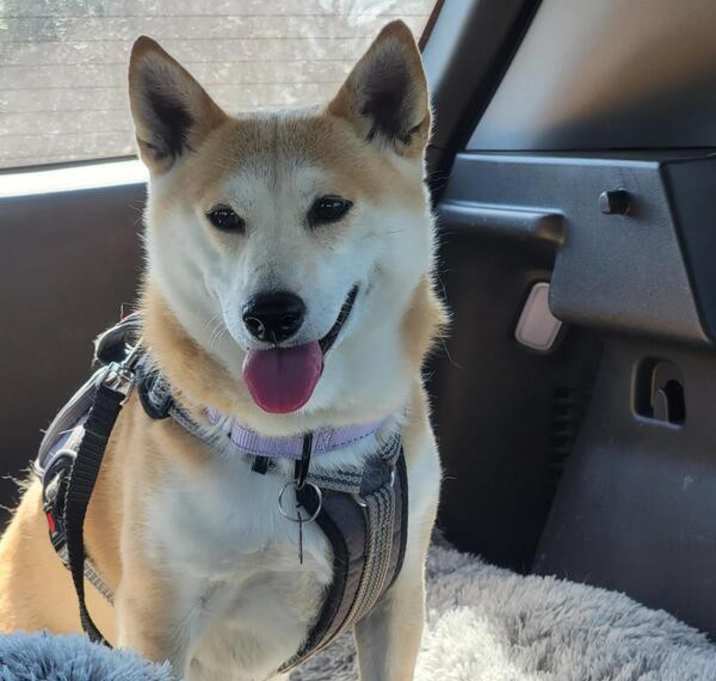 Photo of Kita