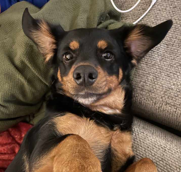 Photo of Paco
