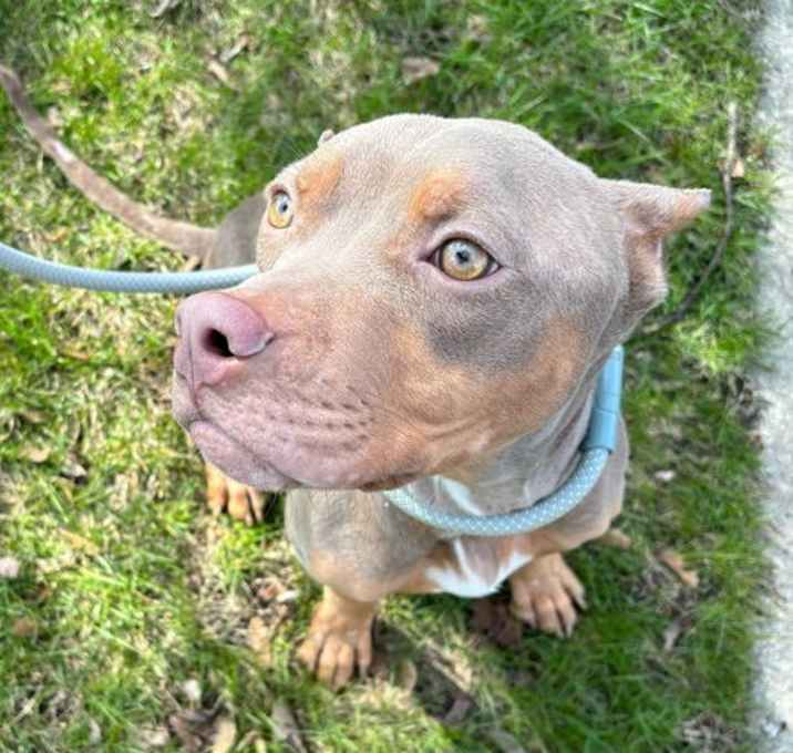Photo of Humphrey