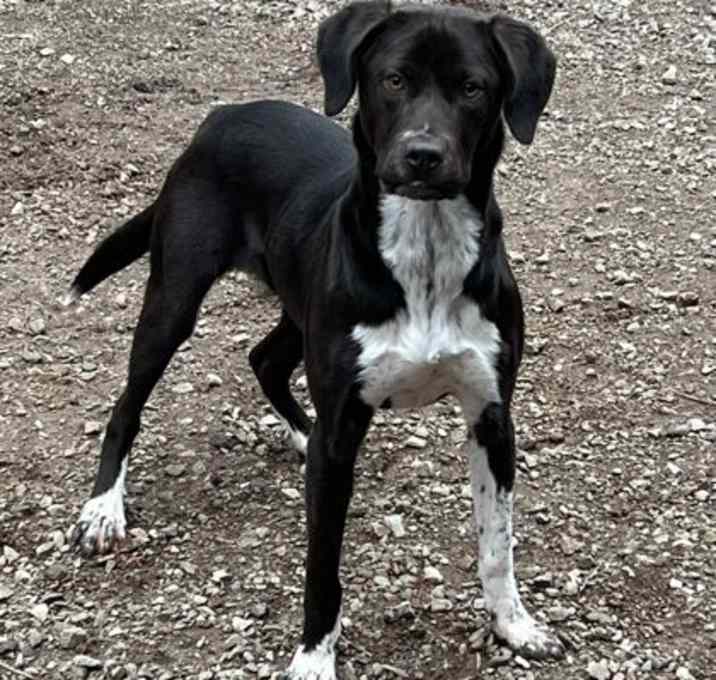 Photo of Kobe