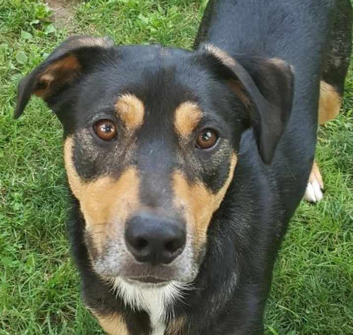 Photo of Lager