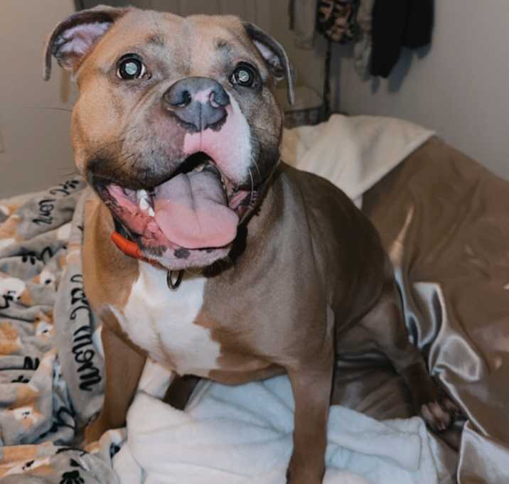 Photo of Kiara