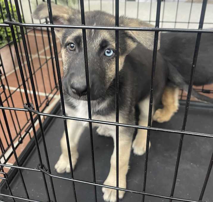 Photo of Maka