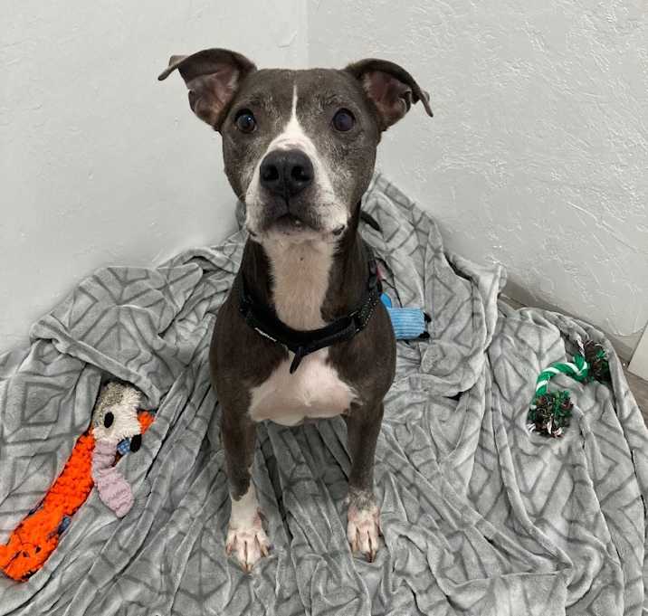 Photo of Shelly