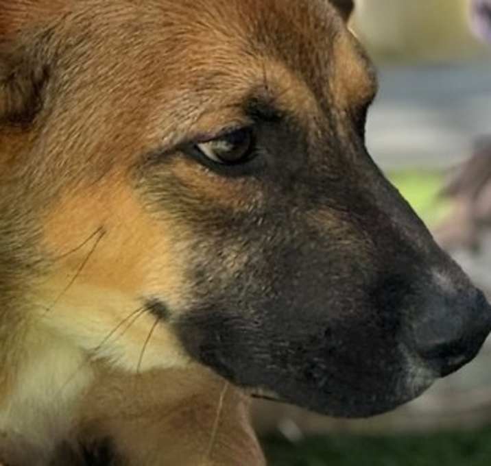 Photo of Alex