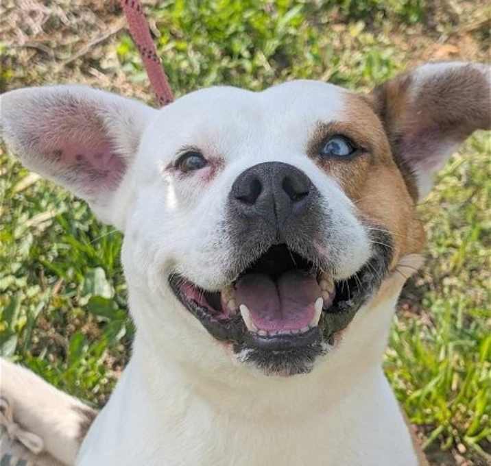 Photo of Oakley