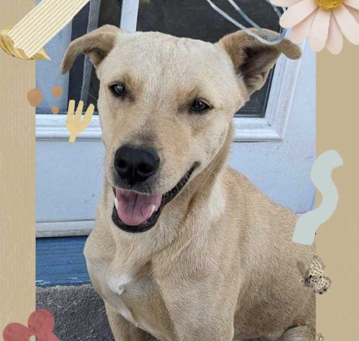 Photo of Sunny