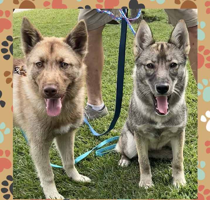 Photo of Jack & Jill