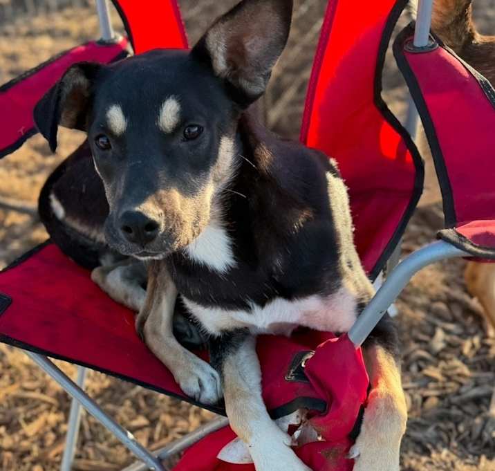 Photo of Lila