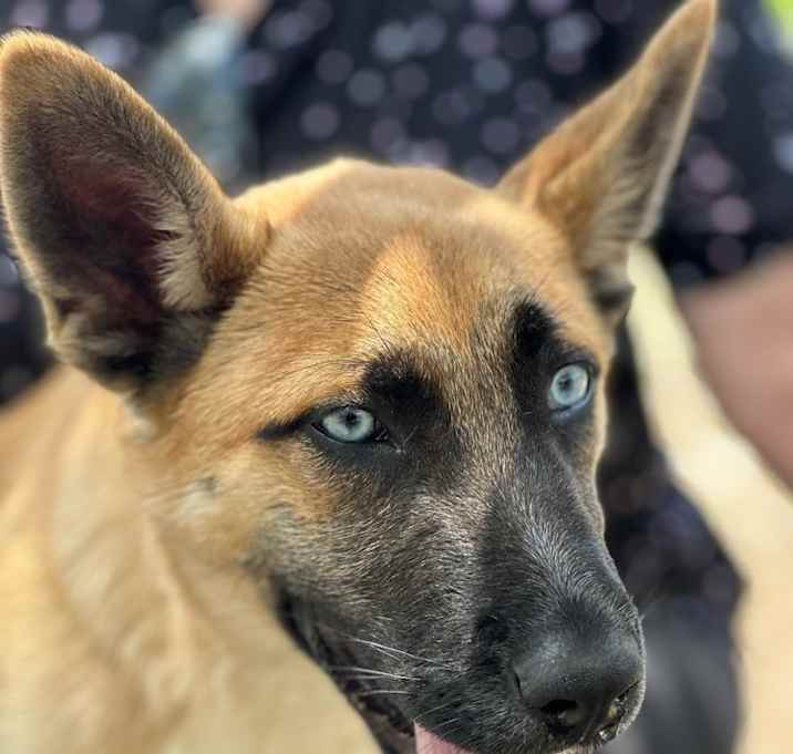 Photo of Waylon