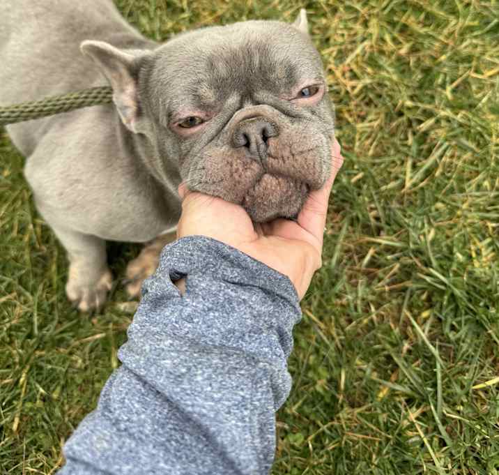 Photo of Lila