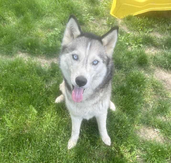 Photo of Charlie