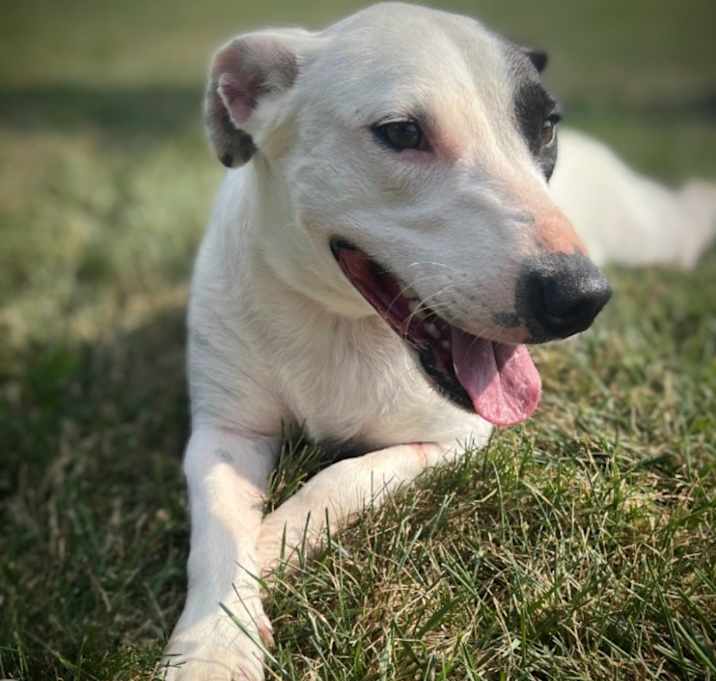 Photo of Sweetie