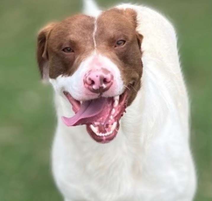 Photo of Fred