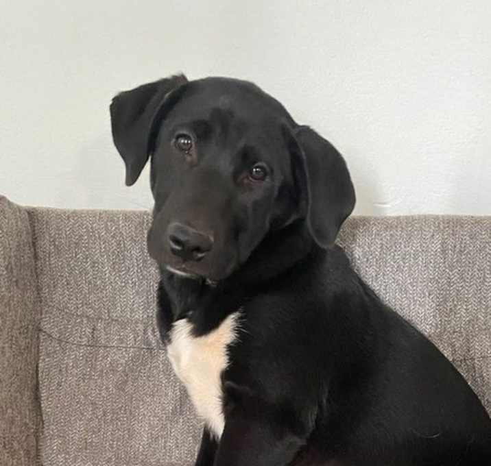 Photo of Hera