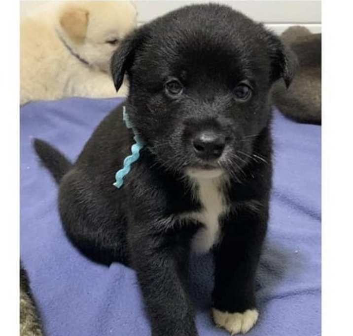 Photo of Lando