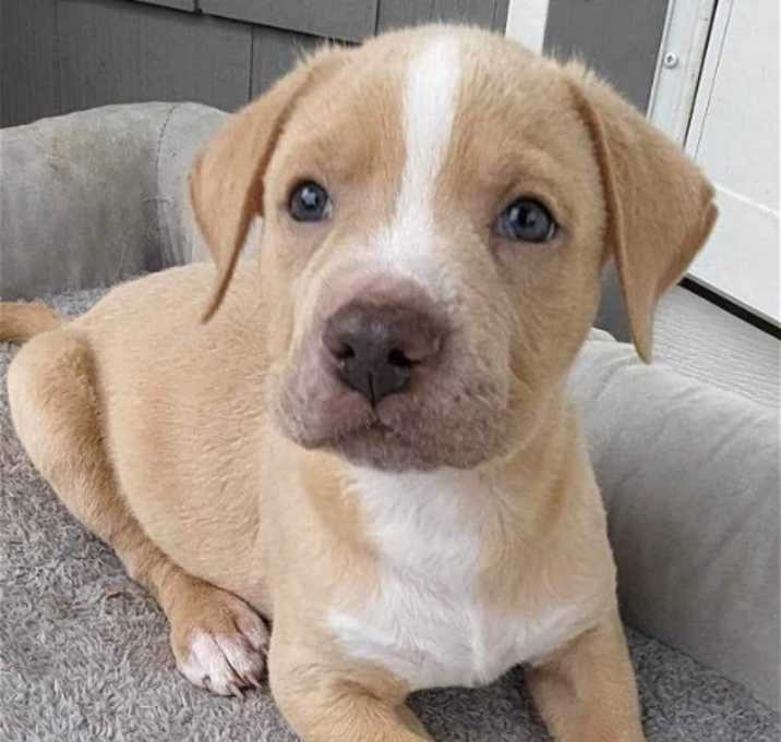 Photo of Ernie