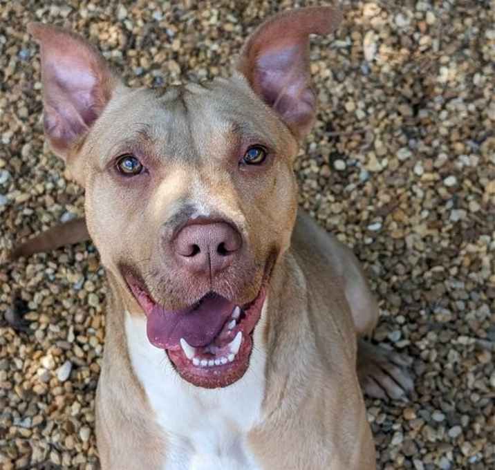Photo of Fiona