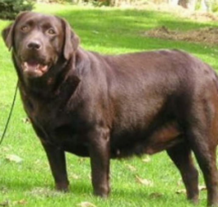 Photo of Edward