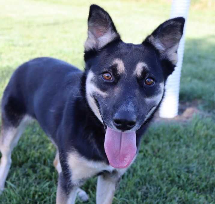 Photo of Lyra