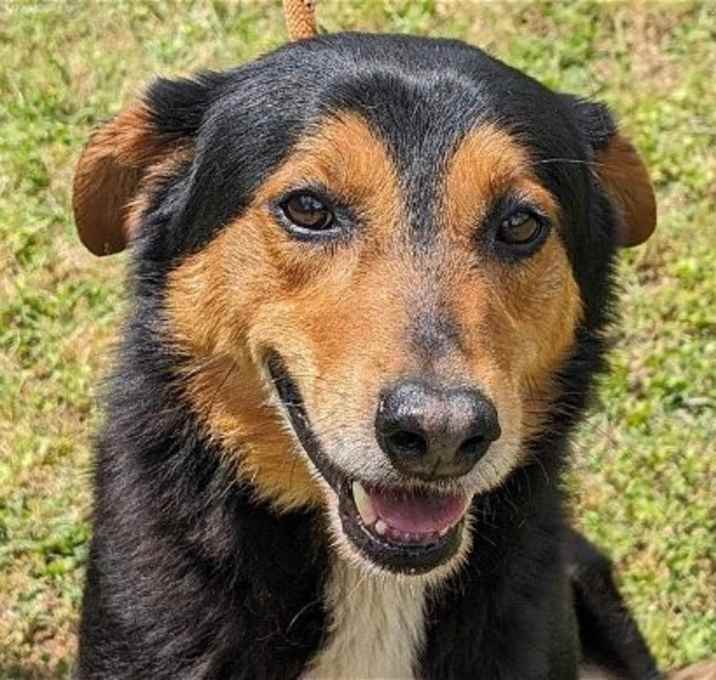 Photo of Romeo