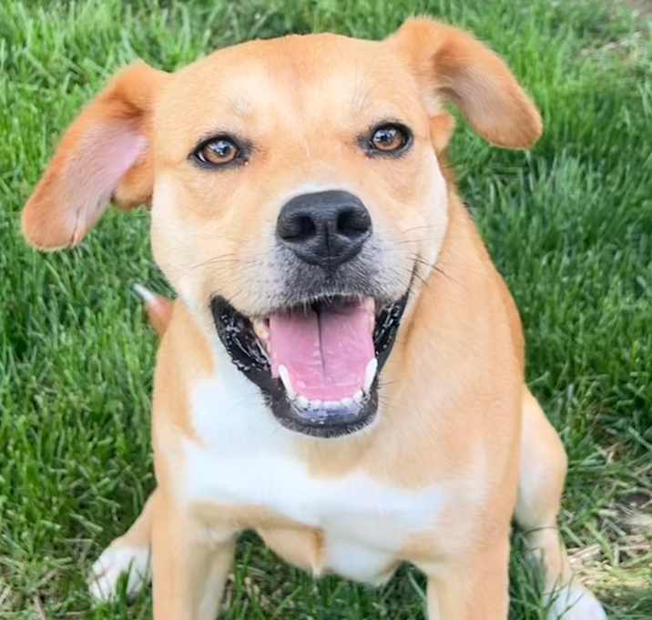 Photo of Lexi