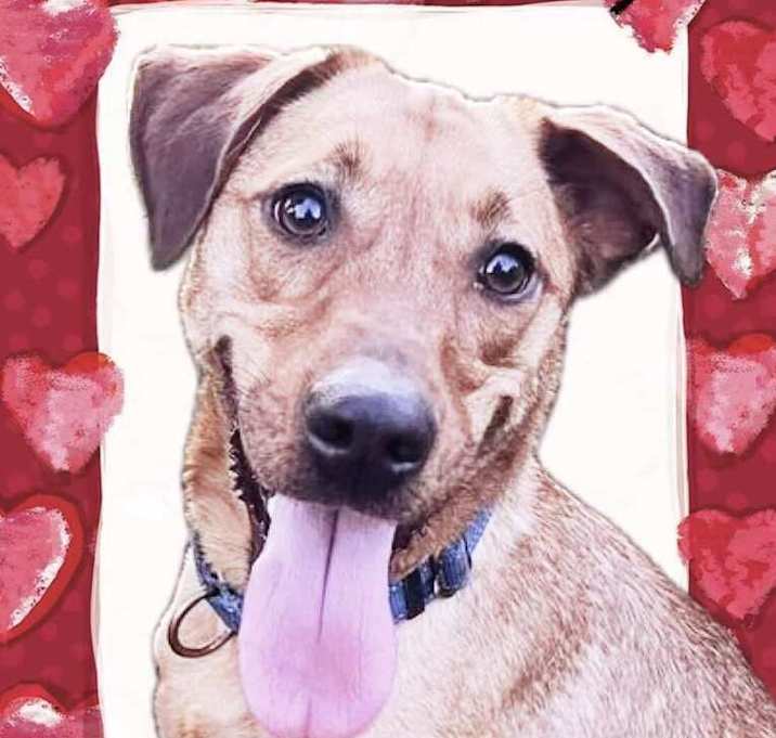 Photo of Skye