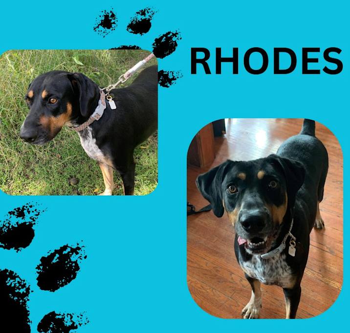Photo of Rhodes