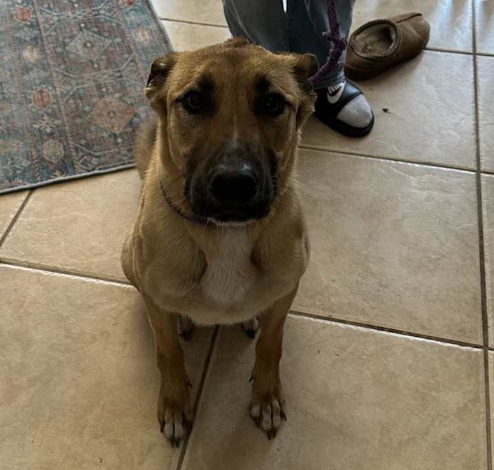 Photo of Daisy