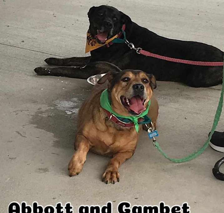 Photo of Abbott & Gambet - LAFAYETTE,IN