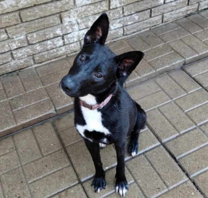 Photo of Libby