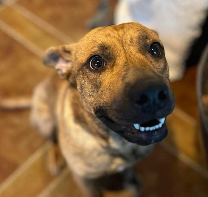 Photo of Tigger