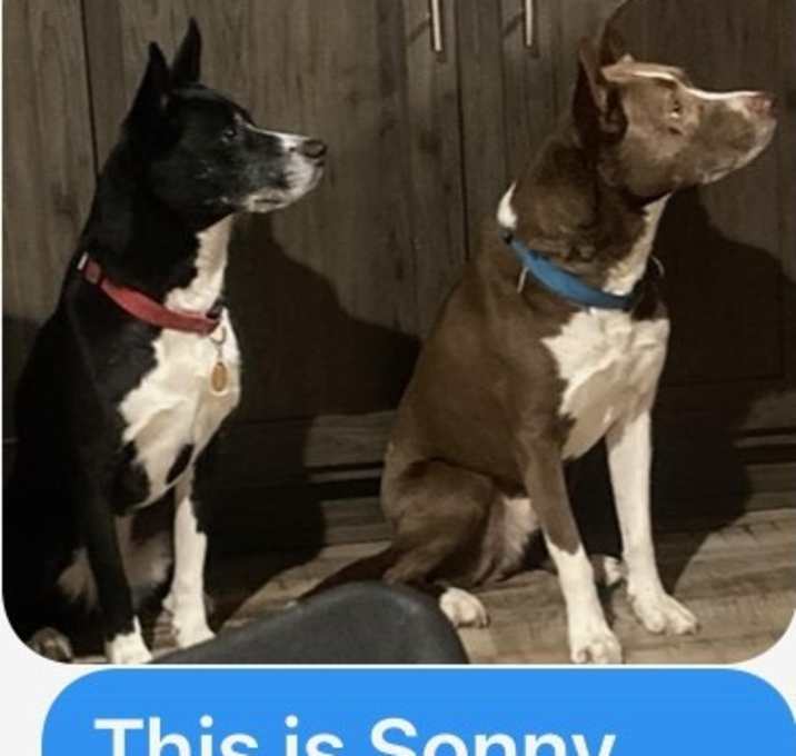 Photo of Sonny and Cher
