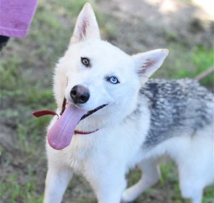 Photo of Delilah