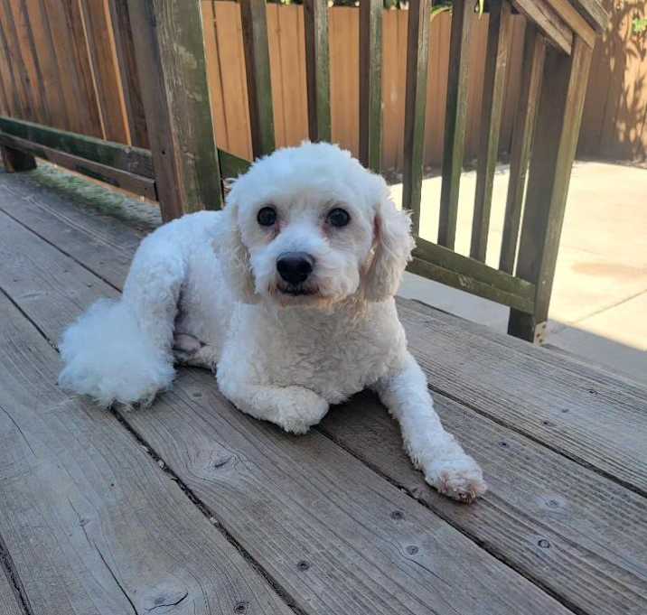 Photo of Q
